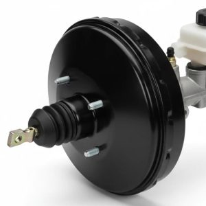 بوستر آمیکو آسنا